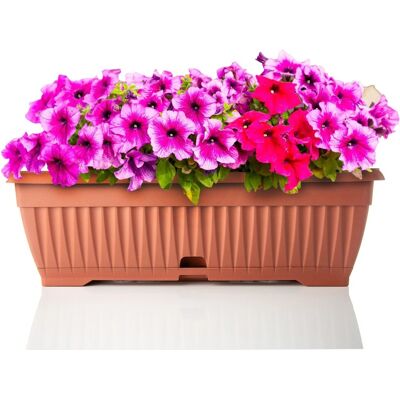 BigDean Blumenkasten Mit Abnehmbarem Untersetzer Terracotta 50 Cm Lang Aus Bruchsicherem Kunststoff Balkonkasten Pflanzkasten Mit Wasserspeicher BigDean Blumenkasten Mit Abnehmbarem Untersetzer Terracotta 50 Cm Lang Aus Bruchsicherem Kunststoff Balkonkasten Pflanzkasten Mit Wasserspeicher