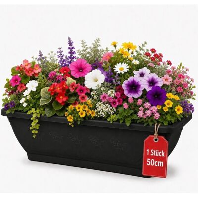 BigDean 1x Blumenkasten Mit Abnehmbarem Untersetzer Anthrazit 50 Cm Lang Aus Bruchsicherem Kunststoff Pflanzkasten Mit Wasserspeicher Für Innen Und BigDean 1x Blumenkasten Mit Abnehmbarem Untersetzer Anthrazit 50 Cm Lang Aus Bruchsicherem Kunststoff Pflanzkasten Mit Wasserspeicher Für Innen Und