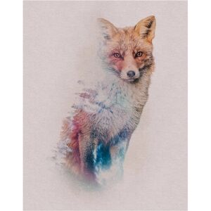 KOMAR Poster "Animals Forest Fox" - Tiere - Innenbereich KOMAR Poster "Animals Forest Fox" - Tiere - Innenbereich