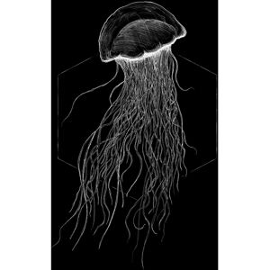 KOMAR - Jellyfish Black - 30x40 cm - Mehrfarbig - Poster KOMAR - Jellyfish Black - 30x40 cm - Mehrfarbig - Poster