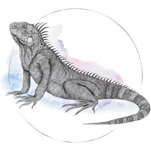 KOMAR Iguana Watercolor Poster - Tiere, Bunt, 70cm KOMAR Iguana Watercolor Poster - Tiere, Bunt, 70cm