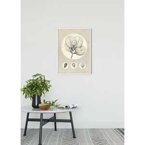 KOMAR Transparent Leaf Bunt Poster - Indoor KOMAR Transparent Leaf Bunt Poster - Indoor