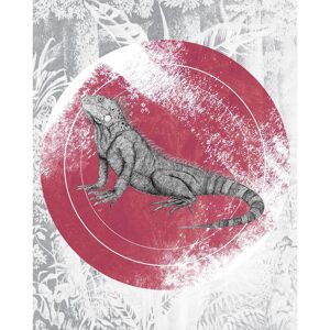 KOMAR Iguana Circle Poster - Tiere - 40x50cm KOMAR Iguana Circle Poster - Tiere - 40x50cm