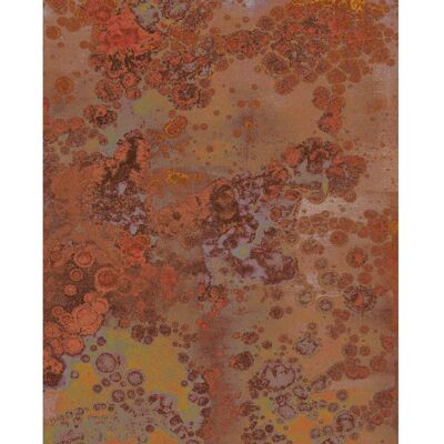 Komar Fototapete Vlies Patina 200 x 250 cm Komar Fototapete Vlies Patina 200 x 250 cm