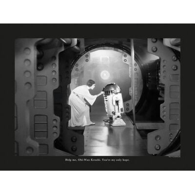 Komar Wandbild Star Wars Quote 40 x 30 cm Komar Wandbild Star Wars Quote 40 x 30 cm
