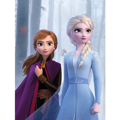 Komar Wandbild Frozen Sisters Wood 30 x 40 cm Komar Wandbild Frozen Sisters Wood 30 x 40 cm