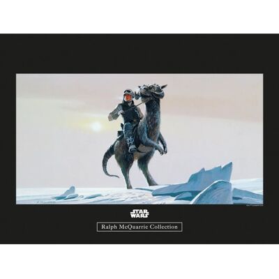 Komar Wandbild Star Wars Tauntaun 40 x 30 cm Komar Wandbild Star Wars Tauntaun 40 x 30 cm