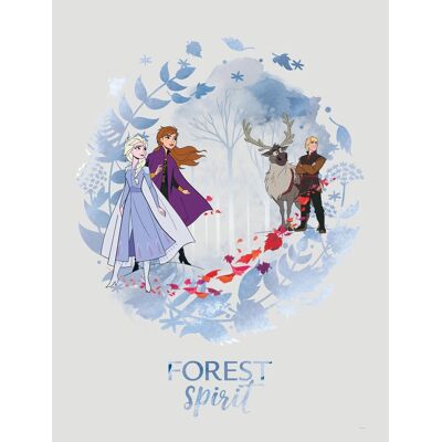 Komar Wandbild Frozen Spirit 30 x 40 cm Komar Wandbild Frozen Spirit 30 x 40 cm