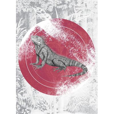 KOMAR Iguana Circle Bunt Poster - Kinderzimmer, Schlafzimmer, Wohnzimmer KOMAR Iguana Circle Bunt Poster - Kinderzimmer, Schlafzimmer, Wohnzimmer
