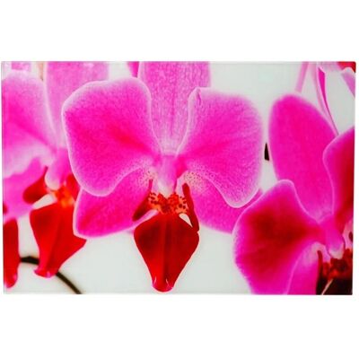 MCW Glasbild T117 40x60cm Orchidee MCW Glasbild T117 40x60cm Orchidee