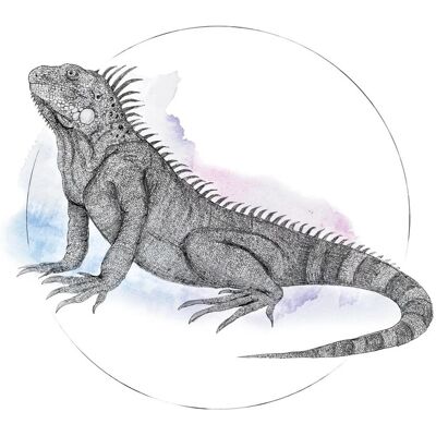 KOMAR Iguana Watercolor Poster - Tiere, bunt, 70cm x 50cm, Innenbereich KOMAR Iguana Watercolor Poster - Tiere, bunt, 70cm x 50cm, Innenbereich