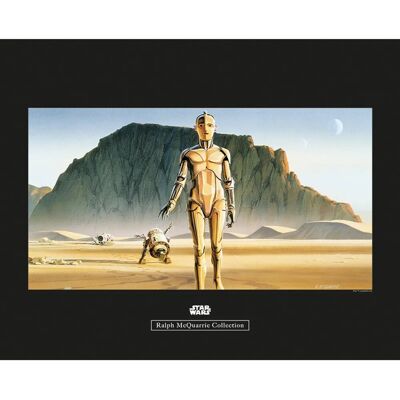 Komar Wandbild Star Wars Droids 50 x 40 cm Komar Wandbild Star Wars Droids 50 x 40 cm