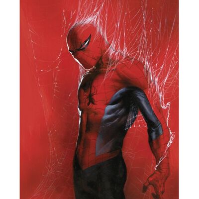 Komar Wandbild Marvel Spider-Man Through the Spider Web 40 cm x 50 cm Rot Komar Wandbild Marvel Spider-Man Through the Spider Web 40 cm x 50 cm Rot