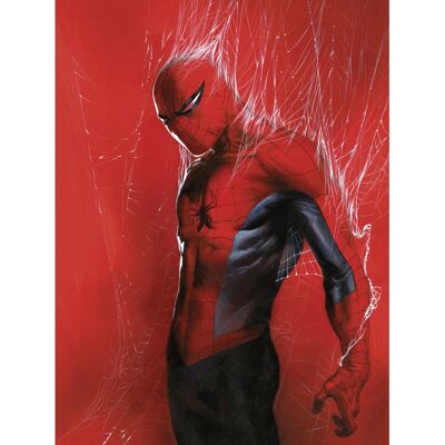 Komar Wandbild Marvel Spider-Man Through the Spider Web 30 cm x 40 cm Rot Komar Wandbild Marvel Spider-Man Through the Spider Web 30 cm x 40 cm Rot