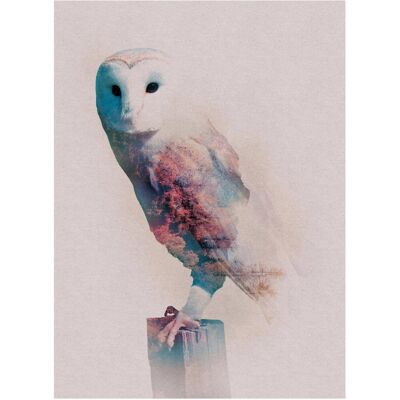 KOMAR - Animals Forest Owl - 30 x 40 cm - bunt - Poster KOMAR - Animals Forest Owl - 30 x 40 cm - bunt - Poster