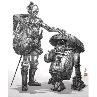 Komar Wandbild Star Wars Vision Samurai Droids 30 cm x 40 cm Schwarz-Weiß Komar Wandbild Star Wars Vision Samurai Droids 30 cm x 40 cm Schwarz-Weiß
