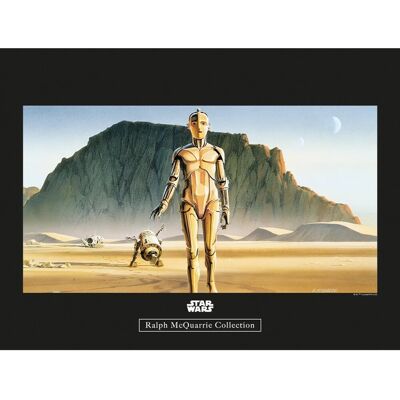 Komar Wandbild Star Wars Droids 40 x 30 cm Komar Wandbild Star Wars Droids 40 x 30 cm