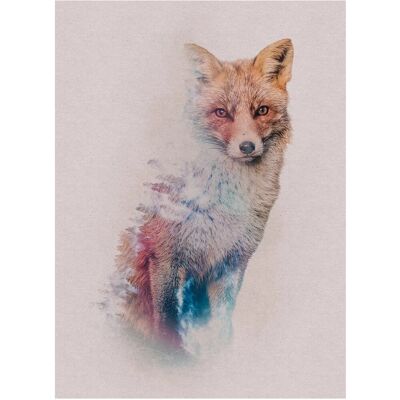 KOMAR Fuchs Wald Tiere Poster - Tiere - Bunt - 30x40cm KOMAR Fuchs Wald Tiere Poster - Tiere - Bunt - 30x40cm