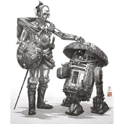 Komar Wandbild Star Wars Vision Samurai Droids 50 cm x 70 cm Schwarz-Weiß Komar Wandbild Star Wars Vision Samurai Droids 50 cm x 70 cm Schwarz-Weiß