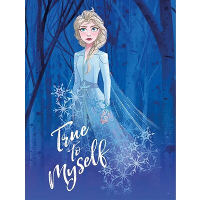 Komar Wandbild Frozen Elsa Myself 30 x 40 cm Komar Wandbild Frozen Elsa Myself 30 x 40 cm