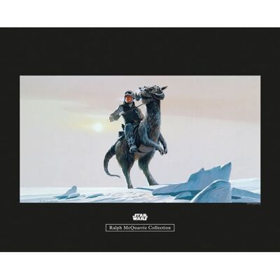 Komar Wandbild Star Wars Tauntaun 50 x 40 cm Komar Wandbild Star Wars Tauntaun 50 x 40 cm