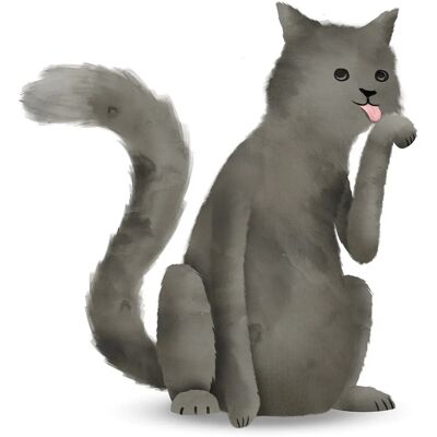 KOMAR - Cute Animal Cat - 30x40 cm - bunt - Poster KOMAR - Cute Animal Cat - 30x40 cm - bunt - Poster