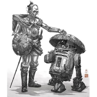 Komar Wandbild Star Wars Vision Samurai Droids 40 cm x 50 cm Schwarz-Weiß Komar Wandbild Star Wars Vision Samurai Droids 40 cm x 50 cm Schwarz-Weiß