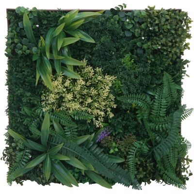 MCW Pflanzenwandbild O93 Bild In-/Outdoor 50x50cm MCW Pflanzenwandbild O93 Bild In-/Outdoor 50x50cm
