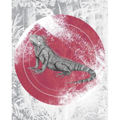 KOMAR Iguana Circle Poster - Tiere - 40x50cm KOMAR Iguana Circle Poster - Tiere - 40x50cm