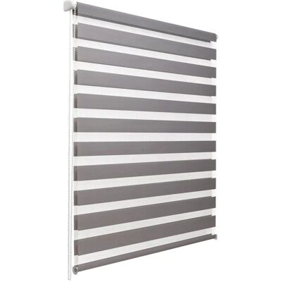 Sol Royal SolDecor DL2 Doppelrollo 70x220cm Grau Sol Royal SolDecor DL2 Doppelrollo 70x220cm Grau