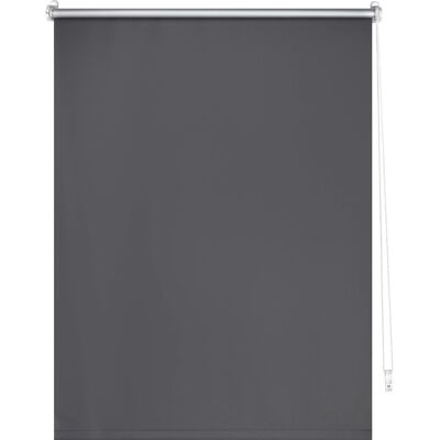 Thermo-Rollo Manresa 80 cm x 175 cm Grau Thermo-Rollo Manresa 80 cm x 175 cm Grau