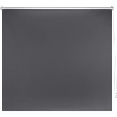 Thermo-Rollo Manresa 120 cm x 175 cm Grau Thermo-Rollo Manresa 120 cm x 175 cm Grau