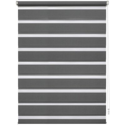 Gardinia Doppelrollo EasyFix mit Montageschiene 120 cm x 150 cm Anthrazit Gardinia Doppelrollo EasyFix mit Montageschiene 120 cm x 150 cm Anthrazit