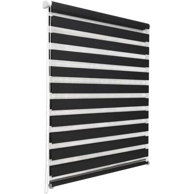 Sol Royal SolDecor DL2 Doppelrollo 110x150cm Schwarz Sol Royal SolDecor DL2 Doppelrollo 110x150cm Schwarz
