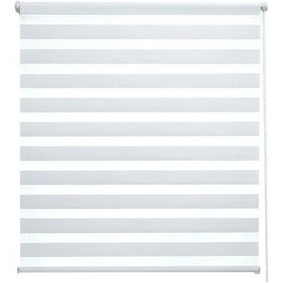 Sol Royal SolDecor DL2 Doppelrollo 55x150cm Weiß Sol Royal SolDecor DL2 Doppelrollo 55x150cm Weiß