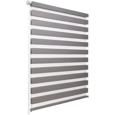 Sol Royal SolDecor DL2 Doppelrollo 55x150cm Grau Sol Royal SolDecor DL2 Doppelrollo 55x150cm Grau