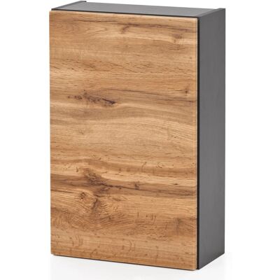 Held Möbel Hängeschrank Salerno 40 cm Wotaneiche-Graphitgrau Held Möbel Hängeschrank Salerno 40 cm Wotaneiche-Graphitgrau
