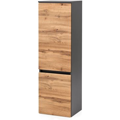 Held Möbel Midischrank Salerno 40 cm Wotaneiche-Graphitgrau Held Möbel Midischrank Salerno 40 cm Wotaneiche-Graphitgrau