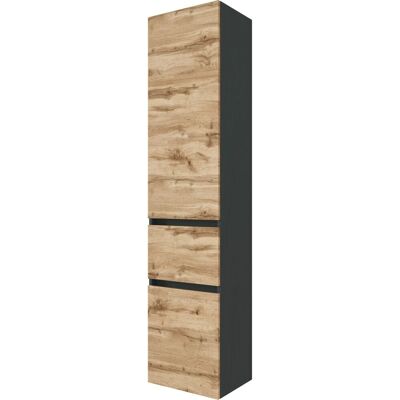 Held Möbel Hochschrank Bari 40 cm Wotaneiche-Graphitgrau Held Möbel Hochschrank Bari 40 cm Wotaneiche-Graphitgrau
