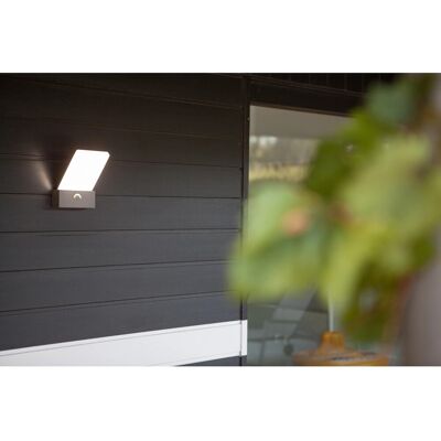 Lutec LED-Außenwandleuchte Pano Anthrazit Lutec LED-Außenwandleuchte Pano Anthrazit