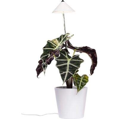 Parus by Venso LED-Pflanzenlampe Sunlite 7 W Weiß Parus by Venso LED-Pflanzenlampe Sunlite 7 W Weiß