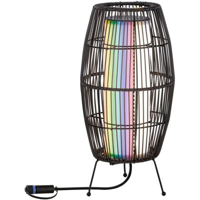 Paulmann LED-Lichtobjekt Plug & Shine Basket Zigbee 3.0 IP44 RGBW+ 3,2 W Schwarz Paulmann LED-Lichtobjekt Plug & Shine Basket Zigbee 3.0 IP44 RGBW+ 3,2 W Schwarz
