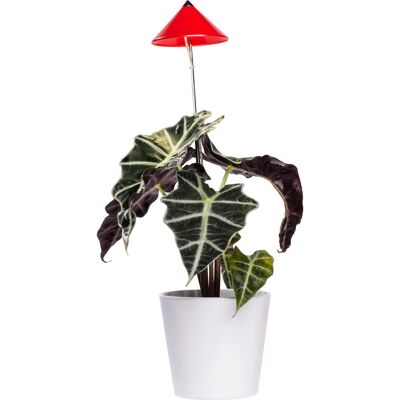 Parus by Venso LED-Pflanzenlampe Sunlite 7 W Rot Parus by Venso LED-Pflanzenlampe Sunlite 7 W Rot