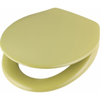 baliv WC-Sitz Belida Duroplast Grün baliv WC-Sitz Belida Duroplast Grün