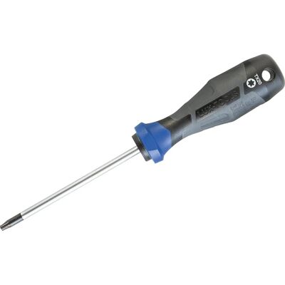 LUXTOOLS LUX-TOOLS Schraubendreher Professional TX20 x 100 mm LUXTOOLS LUX-TOOLS Schraubendreher Professional TX20 x 100 mm