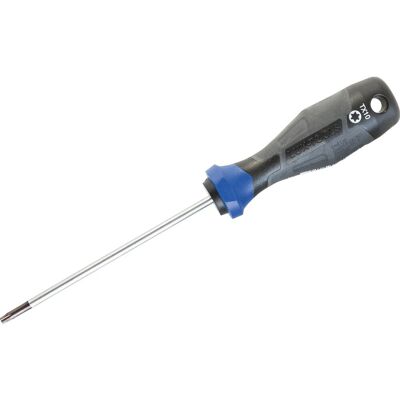 LUXTOOLS LUX-TOOLS Schraubendreher Professional TX10 x 100 mm LUXTOOLS LUX-TOOLS Schraubendreher Professional TX10 x 100 mm