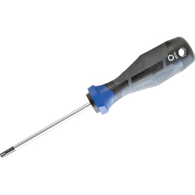 LUXTOOLS LUX-TOOLS Schraubendreher Professional TX25 x 100 mm LUXTOOLS LUX-TOOLS Schraubendreher Professional TX25 x 100 mm