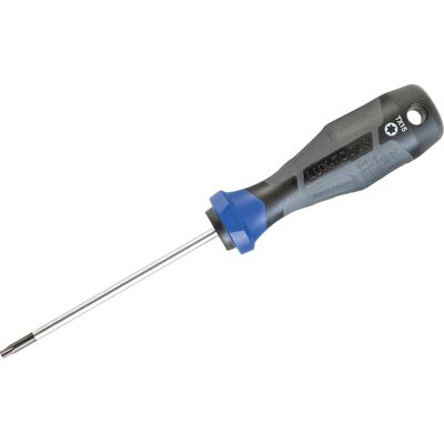 LUXTOOLS LUX-TOOLS Schraubendreher Professional TX15 x 100 mm LUXTOOLS LUX-TOOLS Schraubendreher Professional TX15 x 100 mm