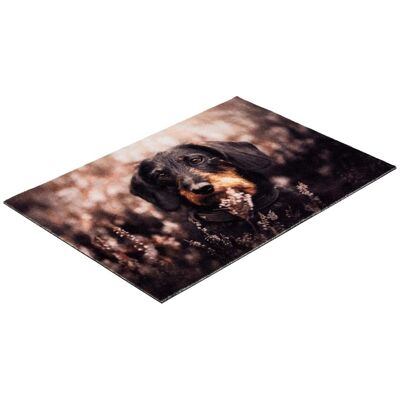 Astra Türmatte Deco Print 40 cm x 60 cm Braun Astra Türmatte Deco Print 40 cm x 60 cm Braun