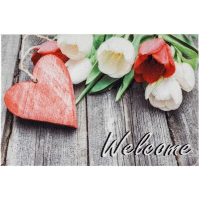 Astra Sauberlaufmatte Deco Print 40 x 60 cm Herz rot Astra Sauberlaufmatte Deco Print 40 x 60 cm Herz rot